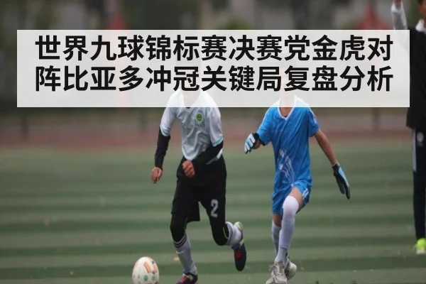 世界九球锦标赛决赛党金虎对阵比亚多冲冠关键局复盘分析 | kaiyun